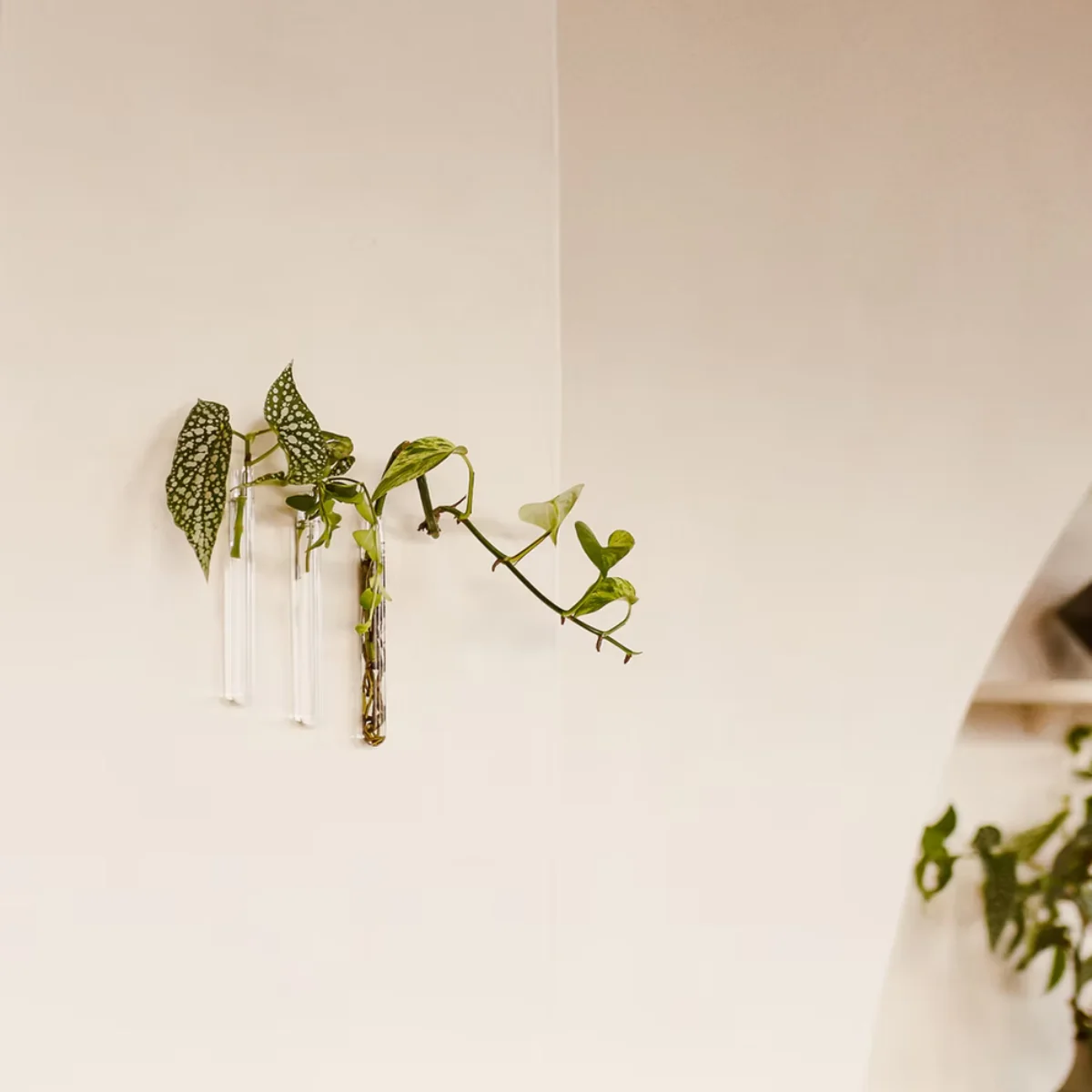 Pack de 3 vases muraux - Image 7