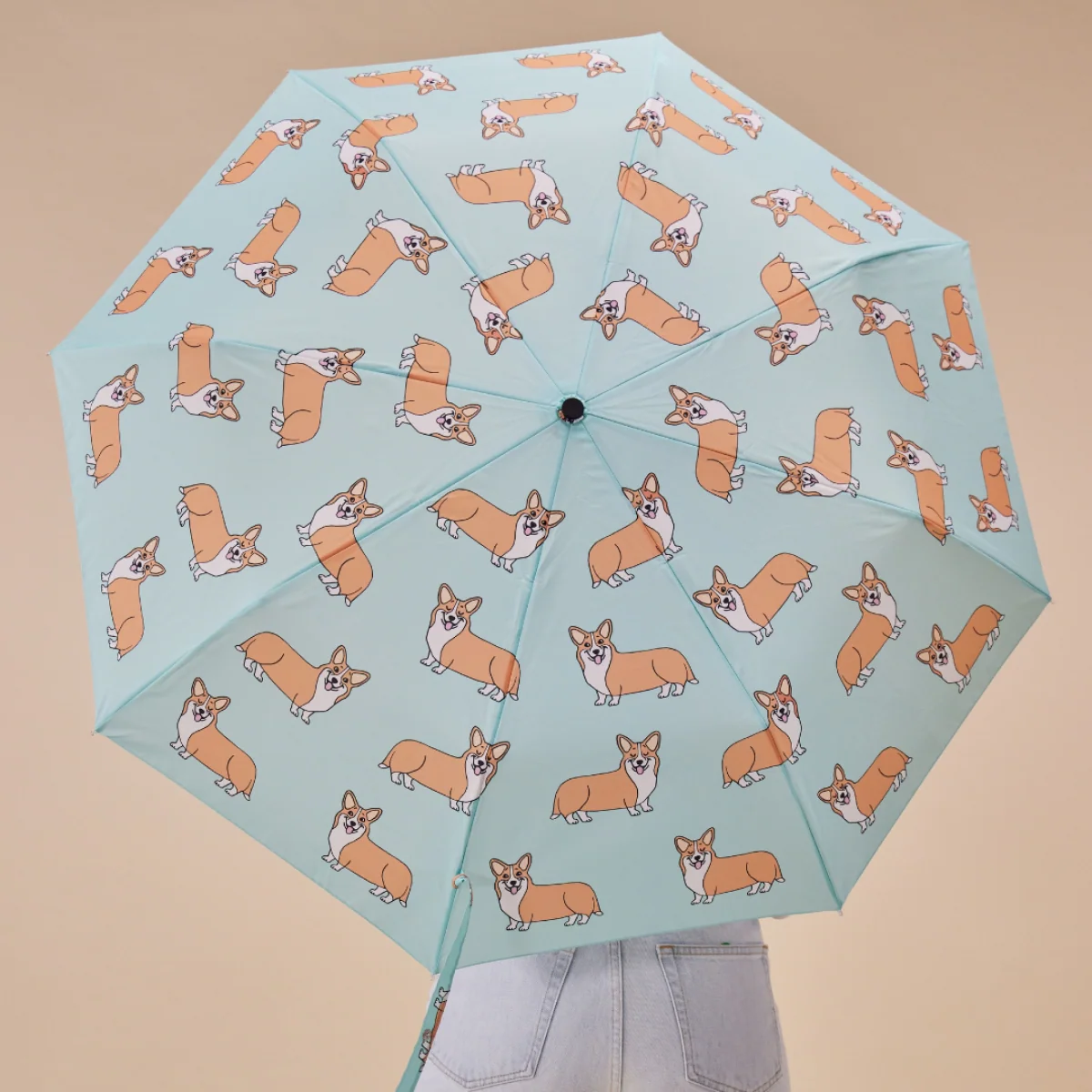 Parapluie à manche Tête de Canard - Corgi - Coucou Suzette - Image 5
