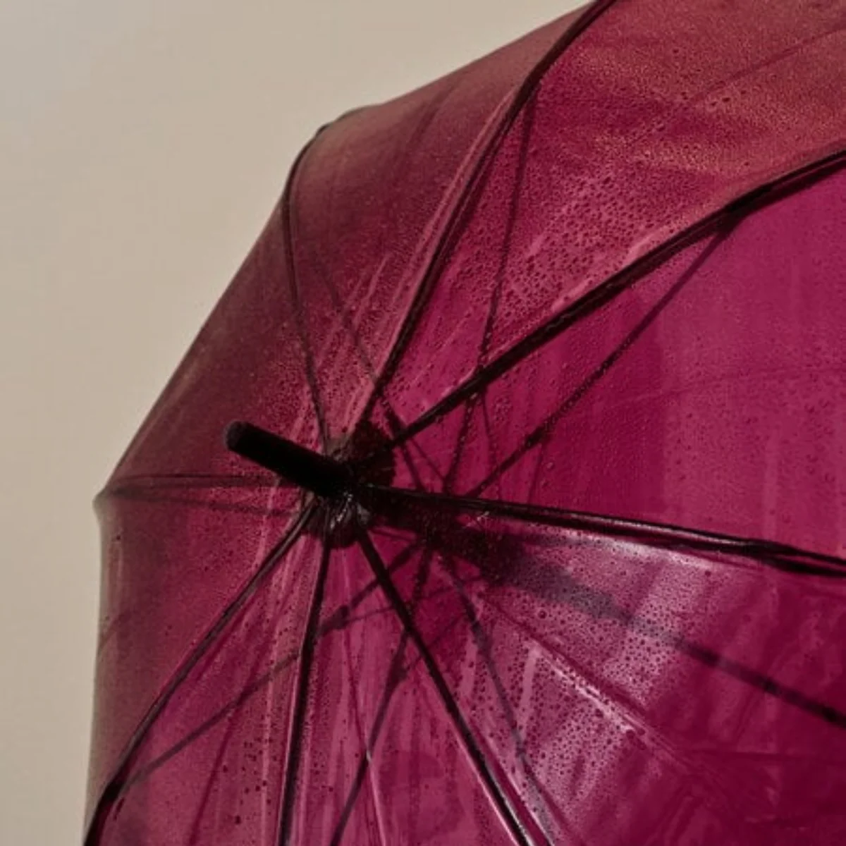 Parapluie Canopy - Image 4