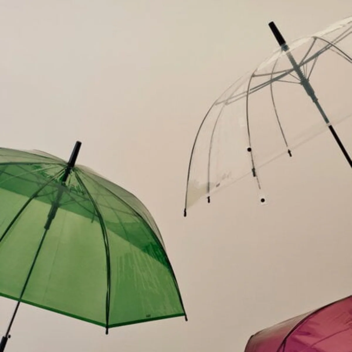 Parapluie Canopy - Image 6
