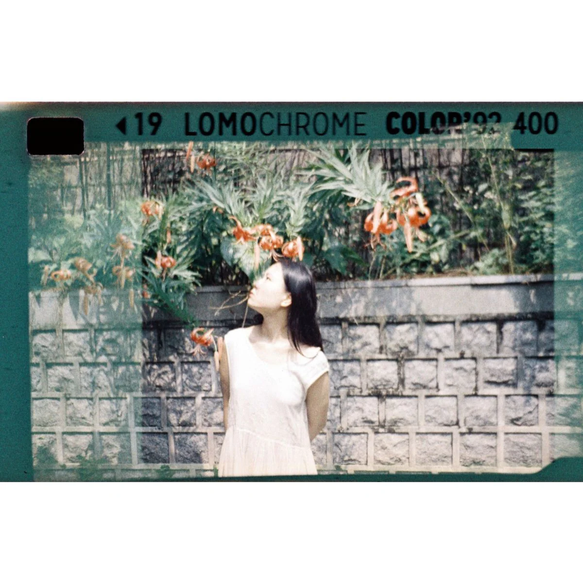 Pellicule Lomochrome Turquoise 135 - Lomochrome 2024 - Image 10