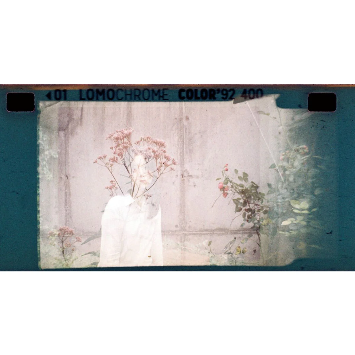 Pellicule Lomochrome Turquoise 135 - Lomochrome 2024 - Image 3