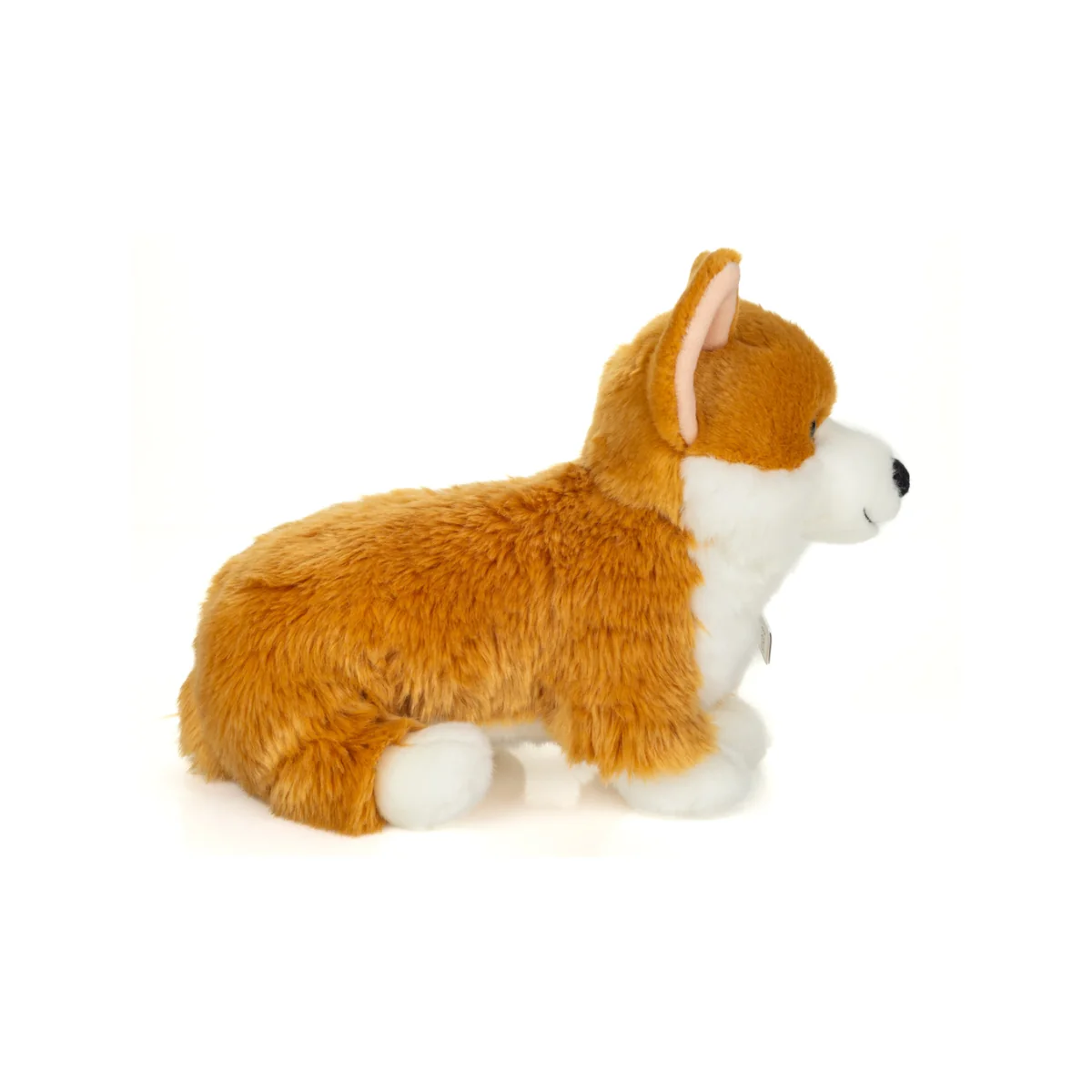 Peluche Corgi - Image 2