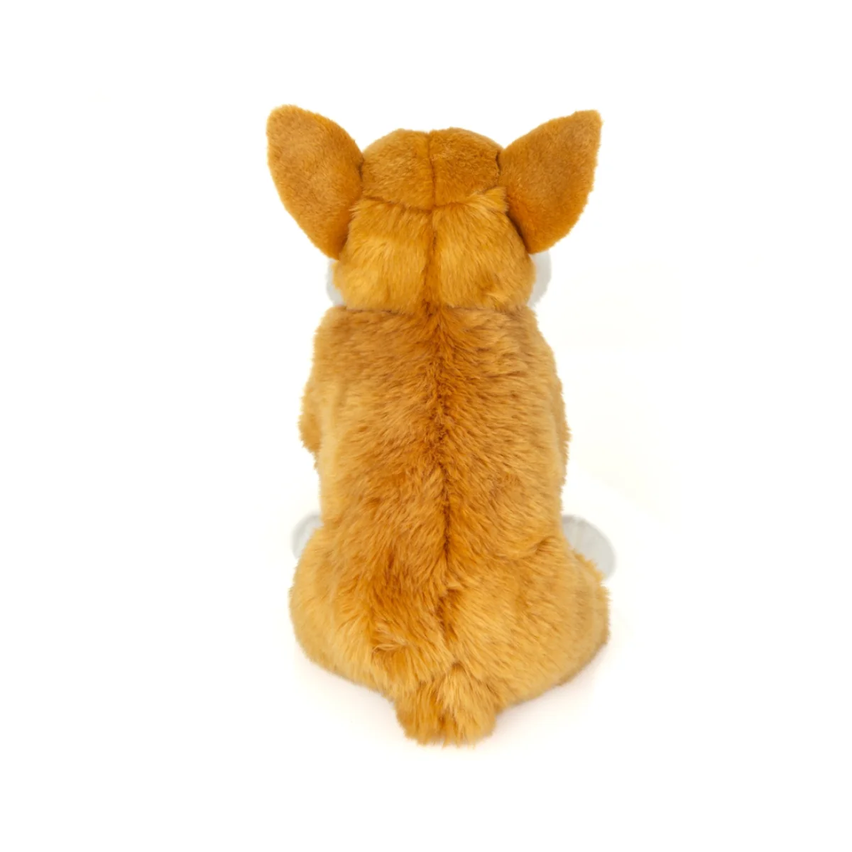 Peluche Corgi - Image 3