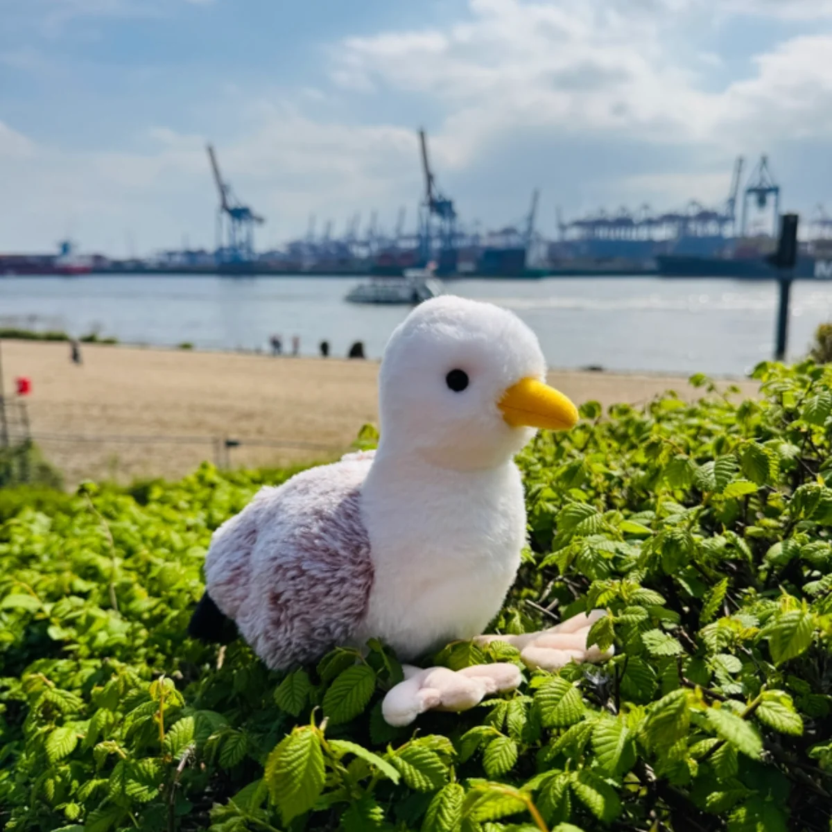 Peluche Mouette - Image 4