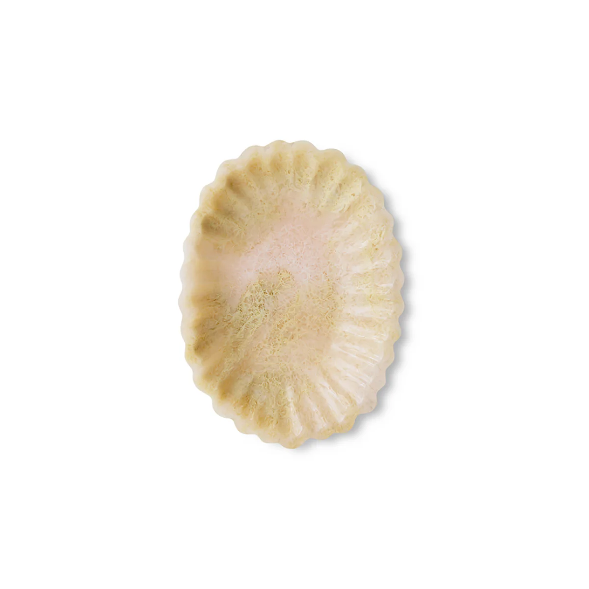 Plateau Resin New Classics - Image 5