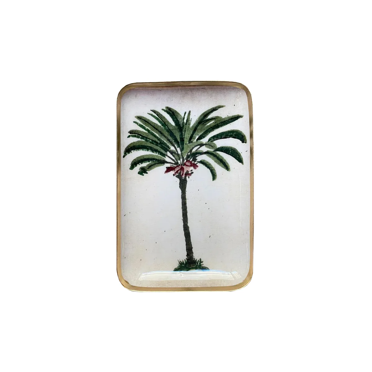 Plateau Solo - Palmier