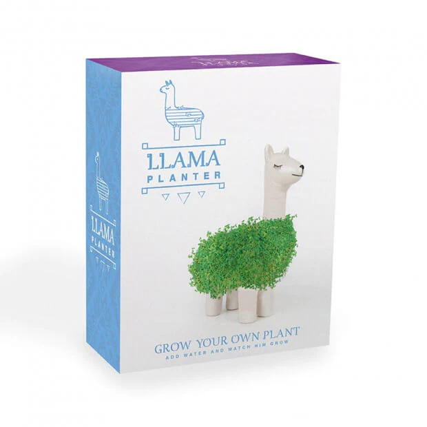 Pot / Jardinière Chia Lama - Image 3
