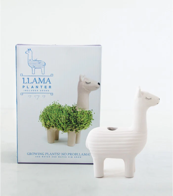 Pot / Jardinière Chia Lama - Image 4