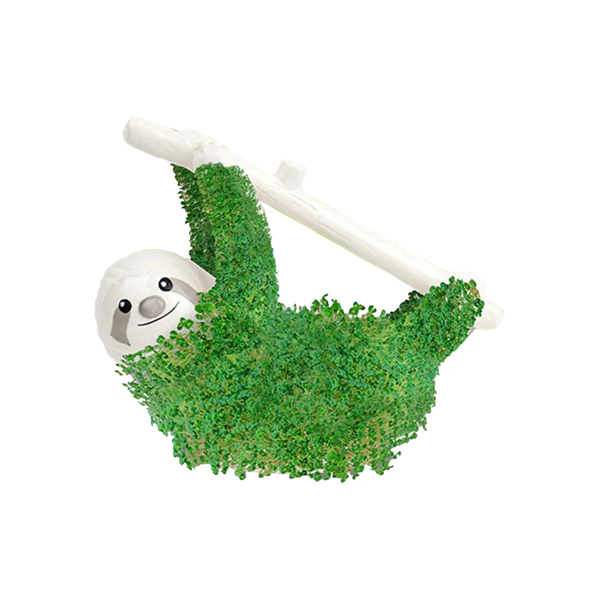 Miniature 1