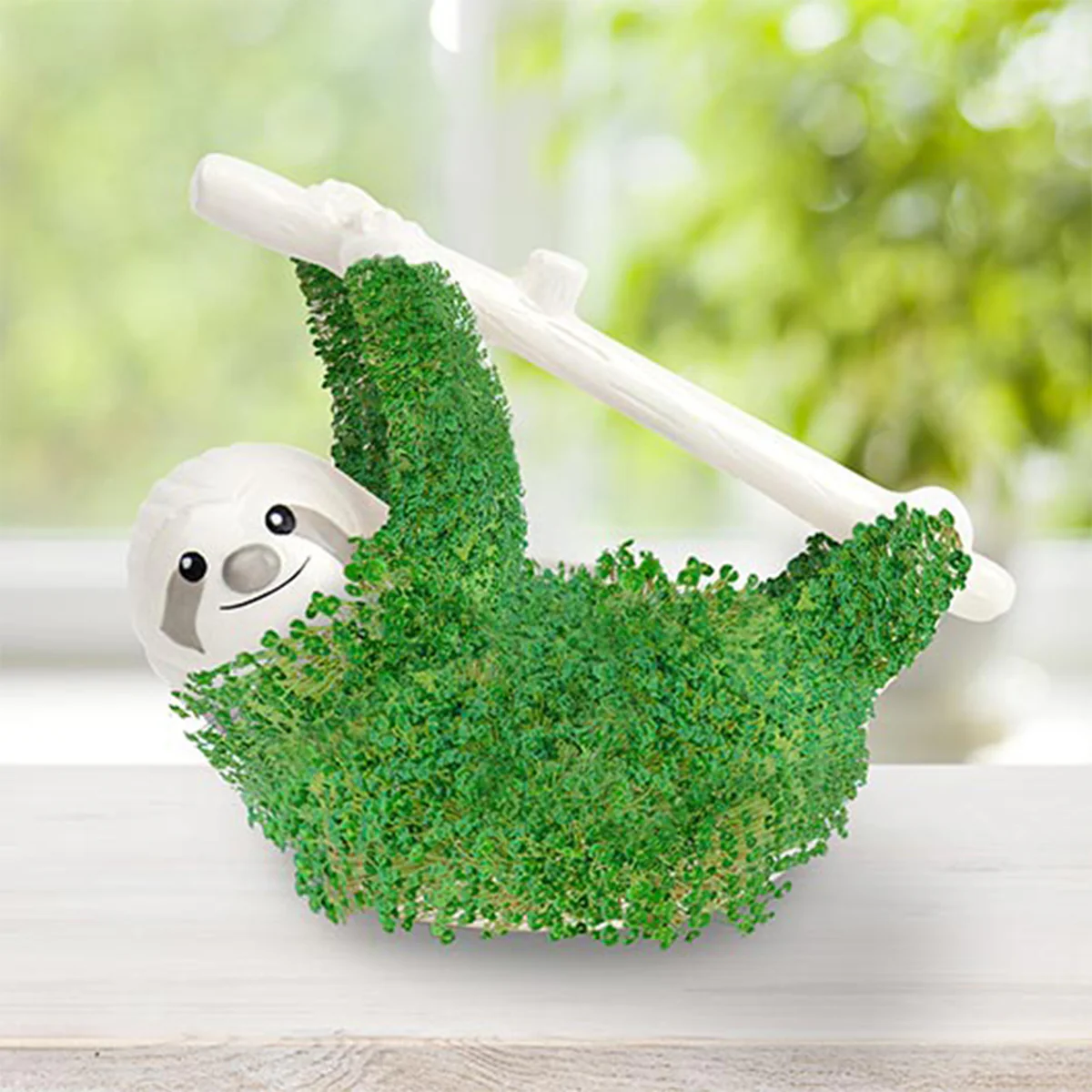 Pot / Jardinière Chia - Paresseux - Image 3