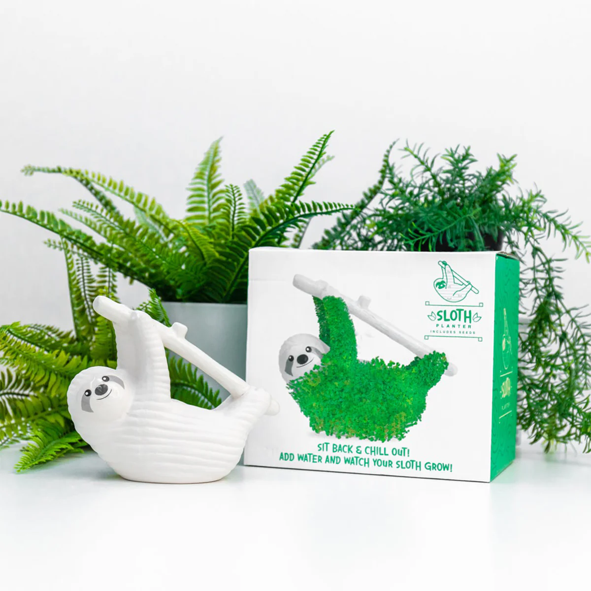 Pot / Jardinière Chia - Paresseux - Image 5