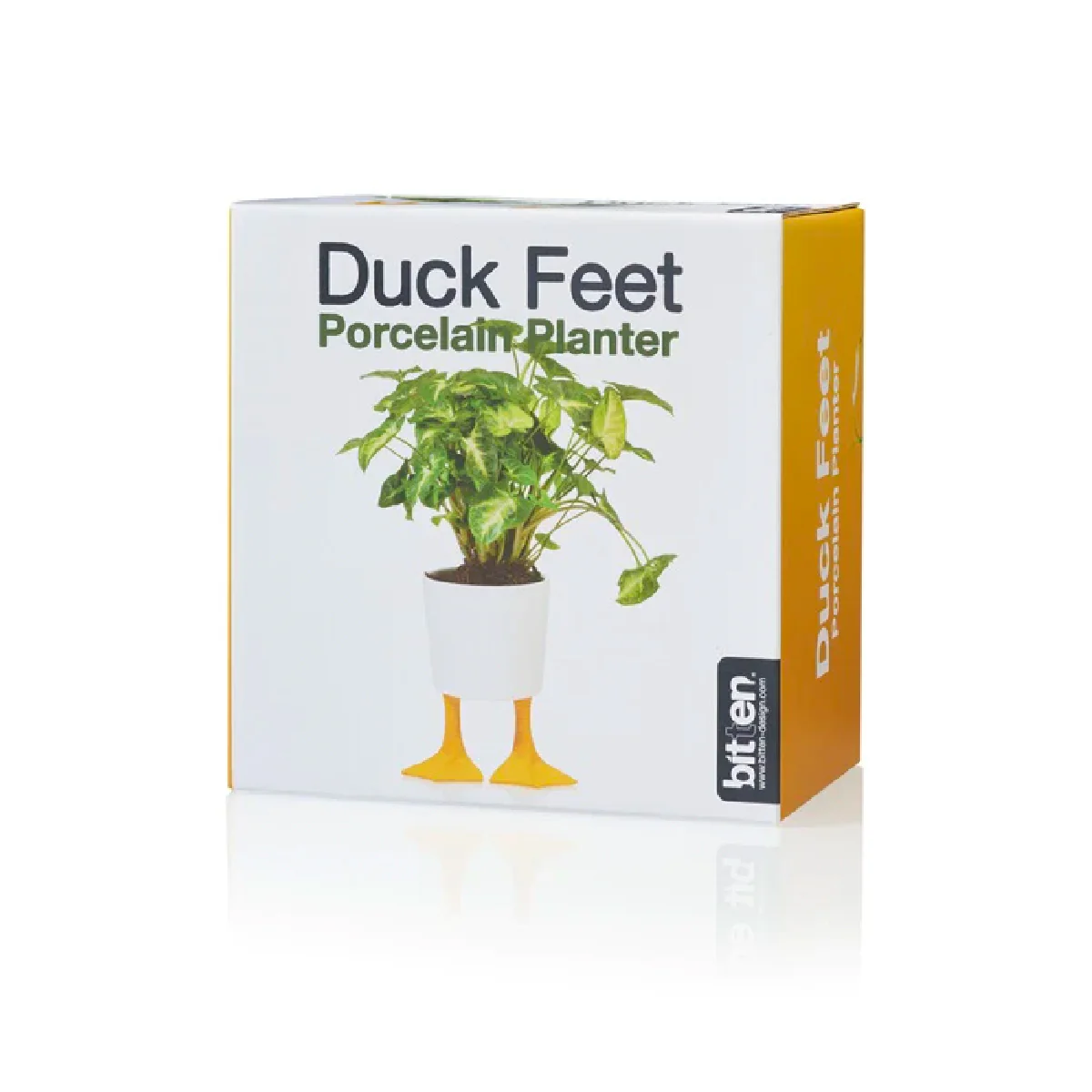 Pot / Jardinière Pieds Canards - Jaune & Blanc - Image 2
