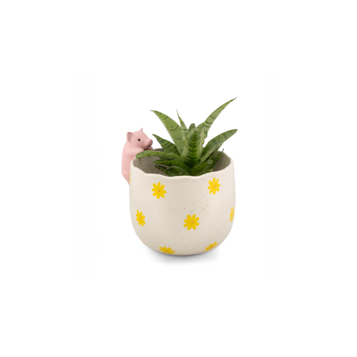 Pot peeking Pig - Image 3