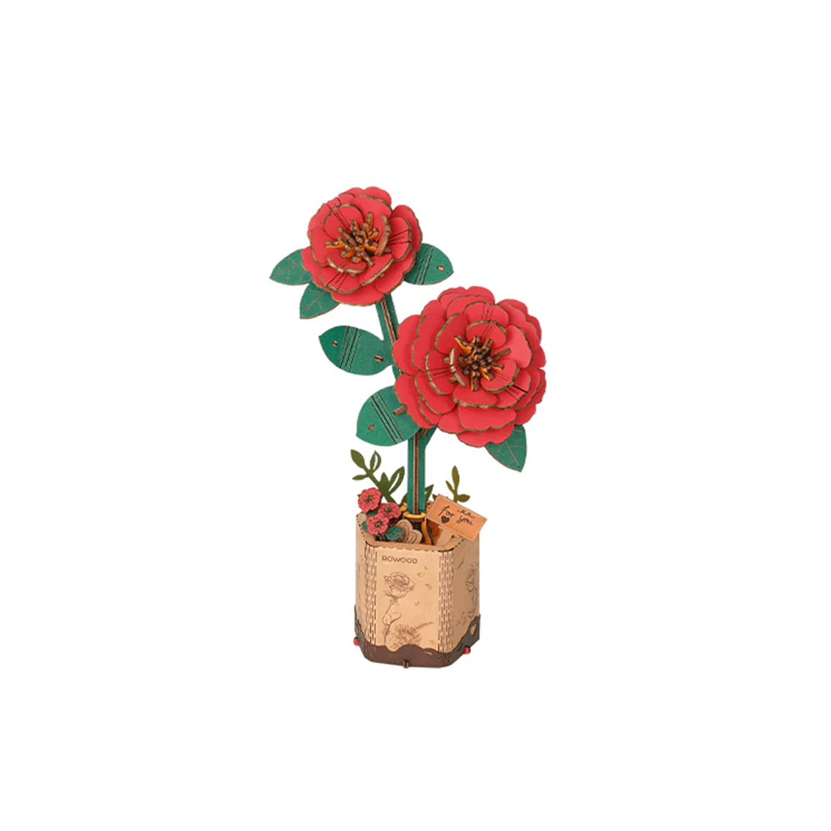 Miniature 1