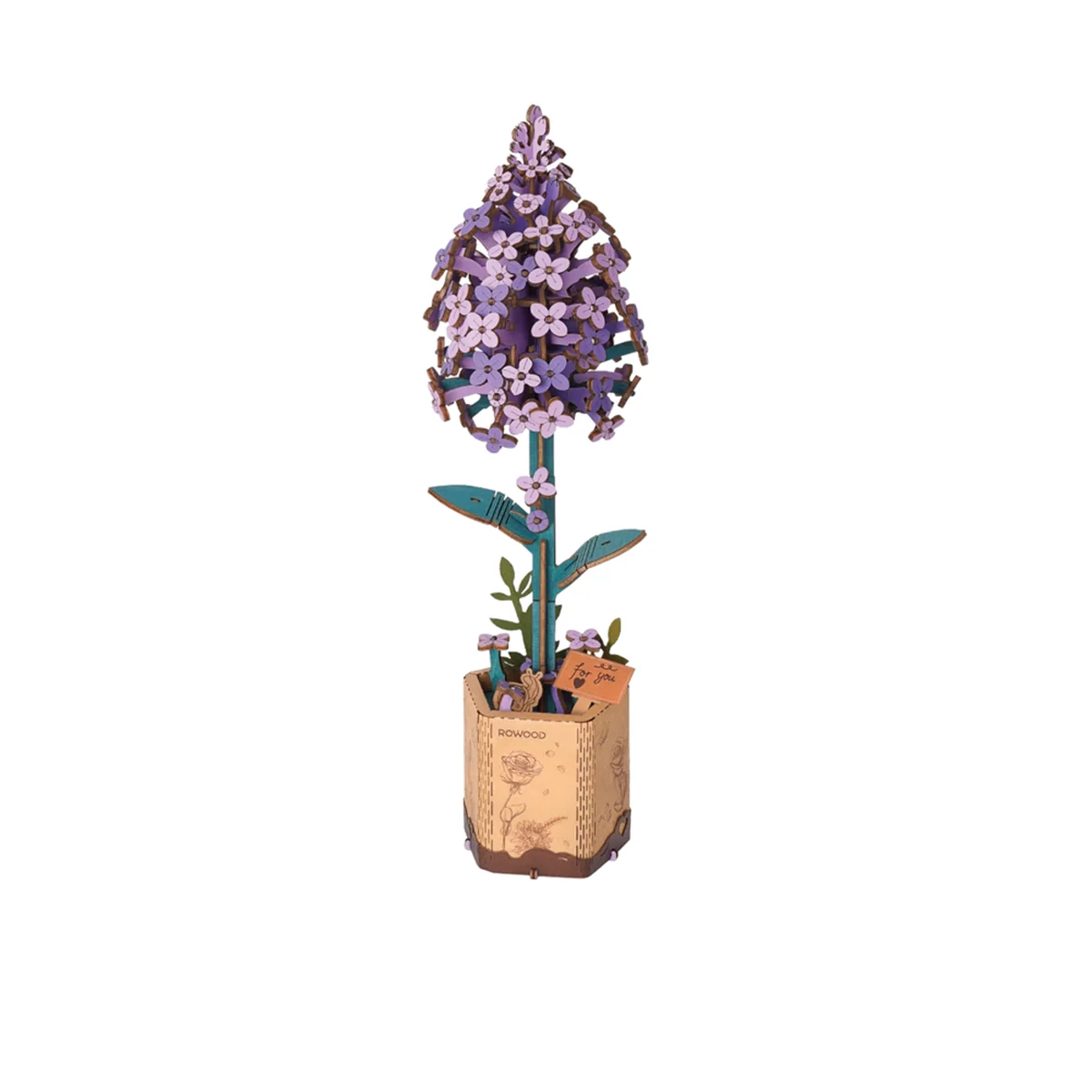 Miniature 1