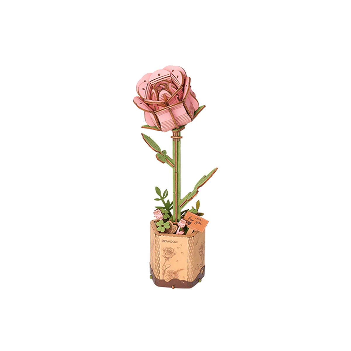 Miniature 1