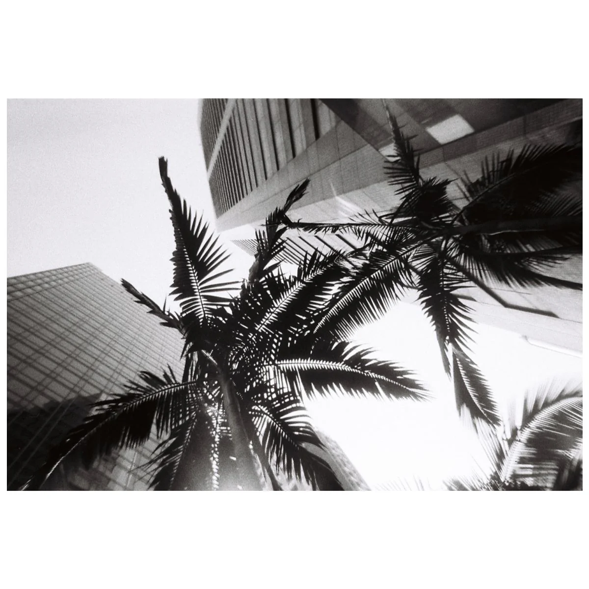 Simple Use Camera LomoChrome Black/White - Image 5