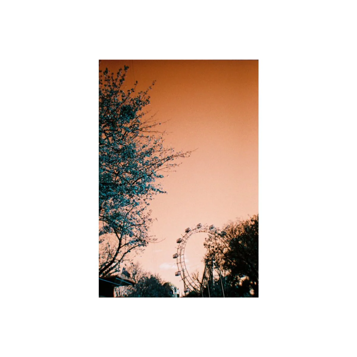 Simple Use Camera LomoChrome Turquoise - Image 5