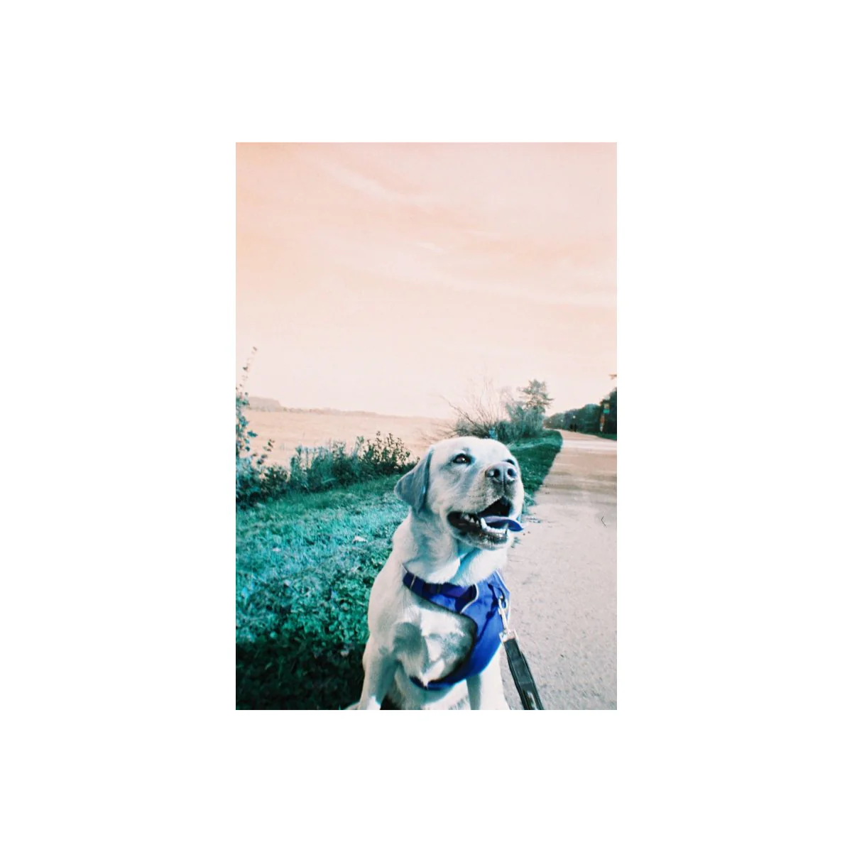Simple Use Camera LomoChrome Turquoise - Image 7