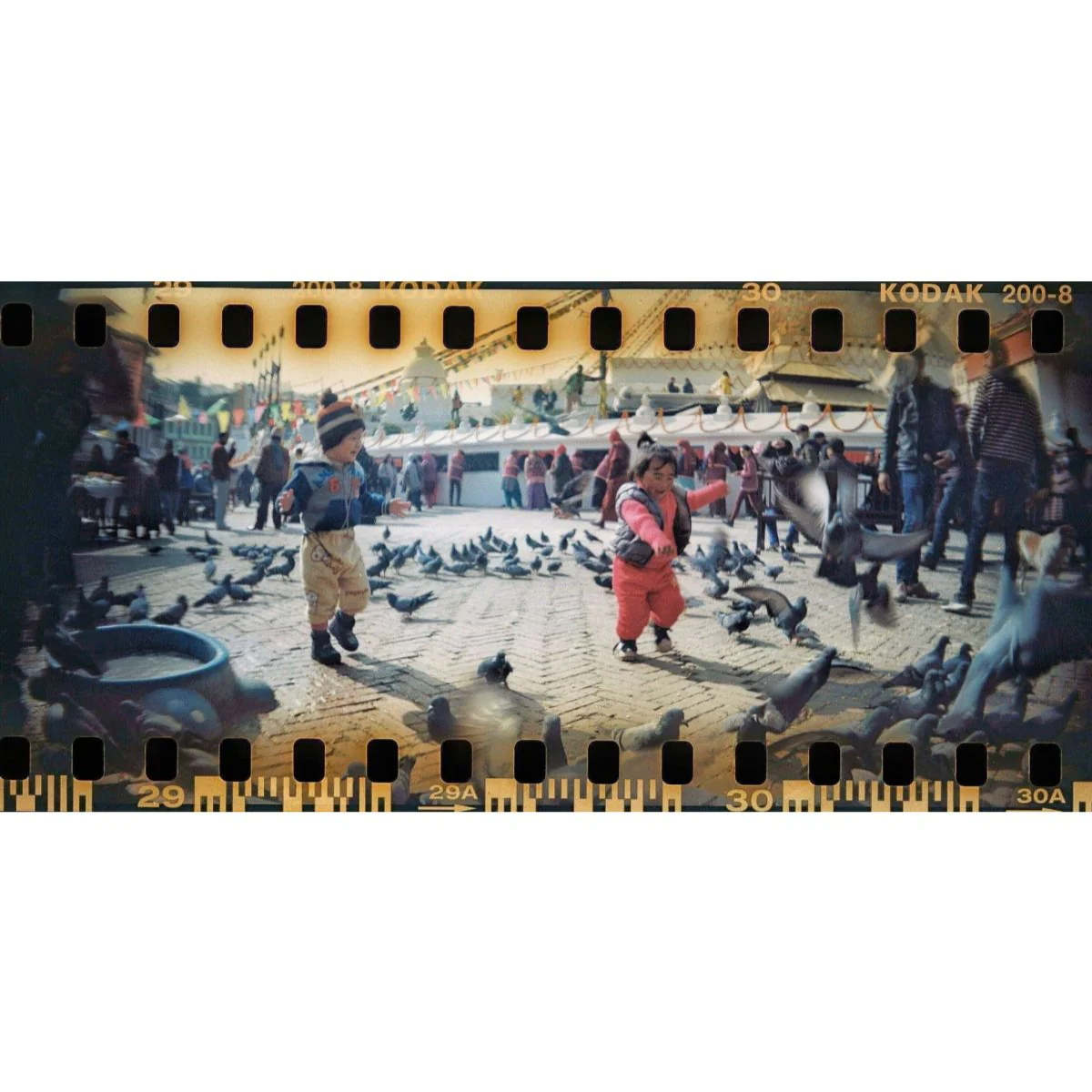 Sprocket Rocket Panoramic 35mm Baja Blue - Image 8