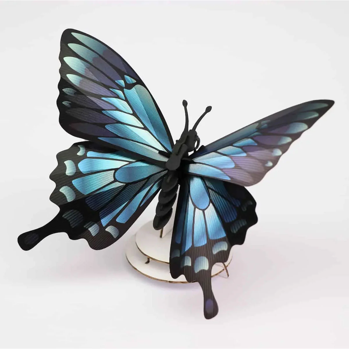 Trophée Origami Papilio Ulysses - Image 2