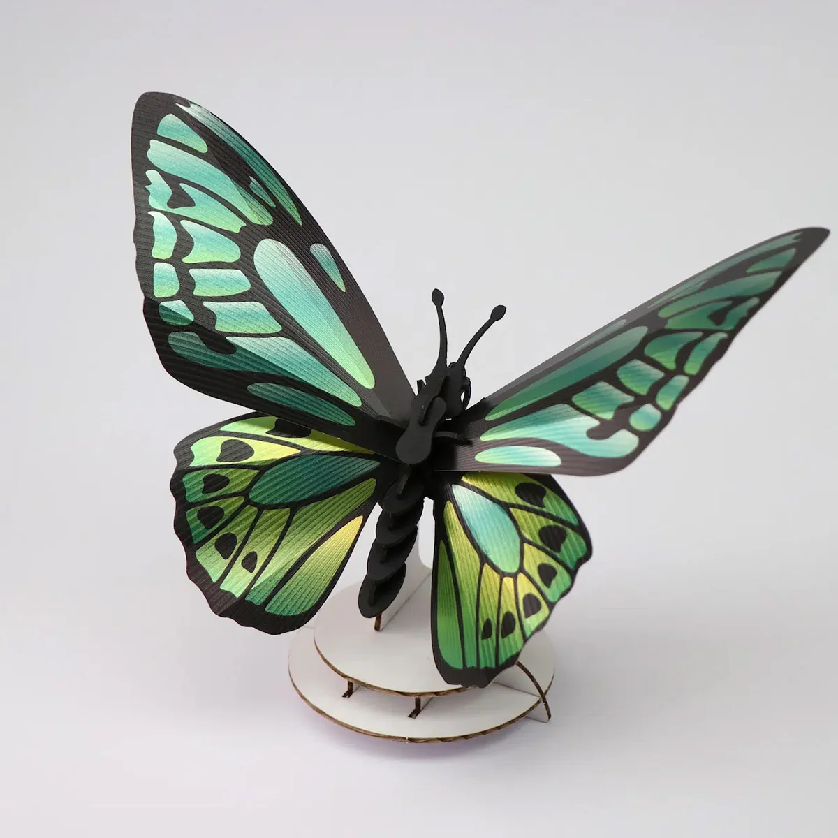 Trophée Origami Papillon Birdwing - Vert - Image 2