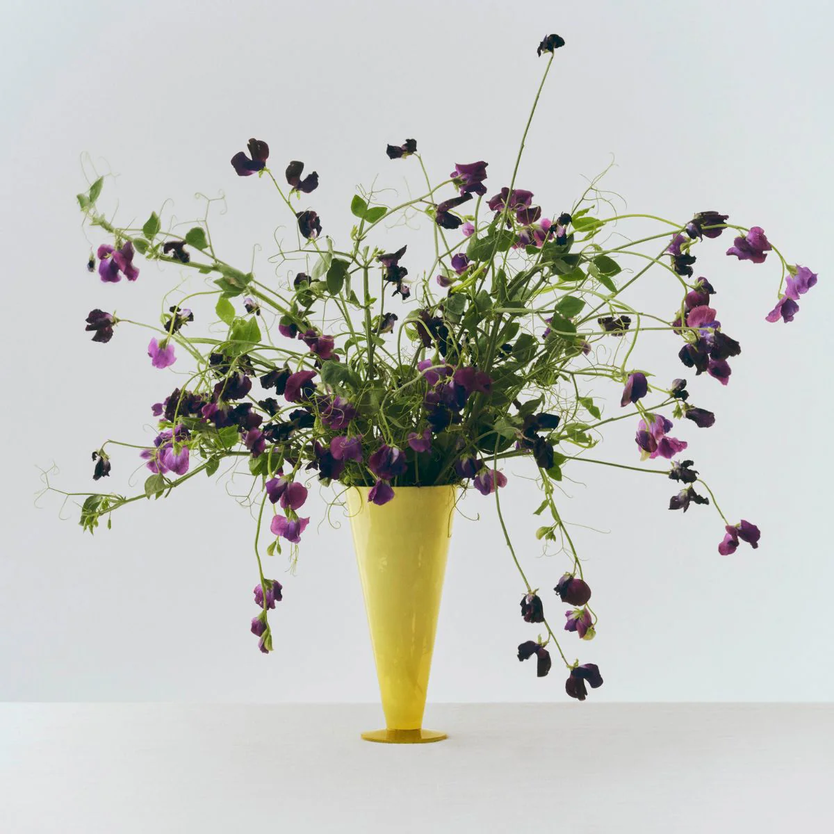 Vase Conical L - Image 5