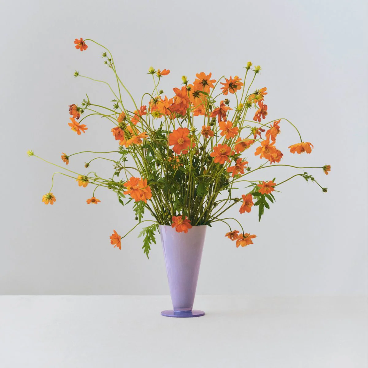 Vase Conical S - Image 4