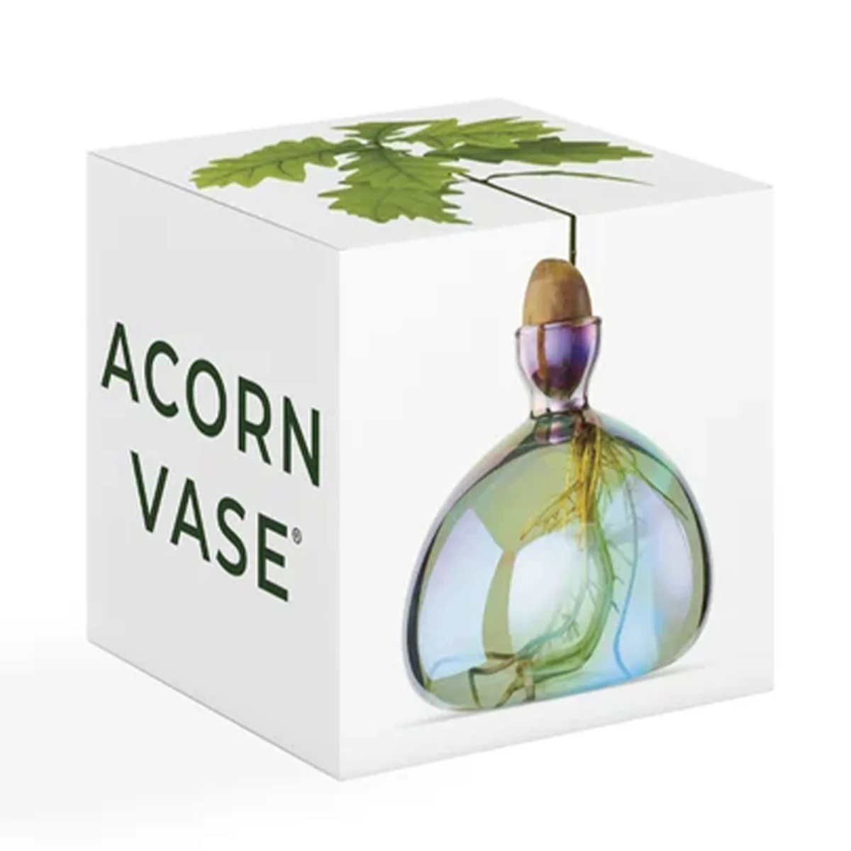 Vase en verre pour gland Cosmic - Image 8