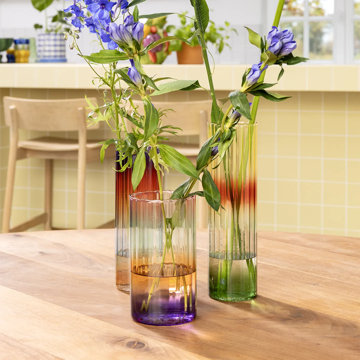 Vase Gradient Evening - Large - Image 2