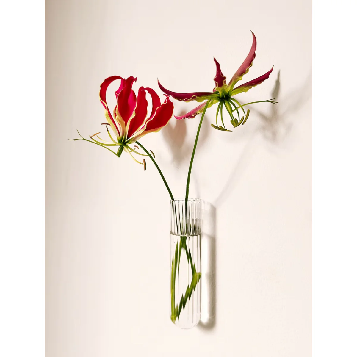 Vase Mural XL - Image 2
