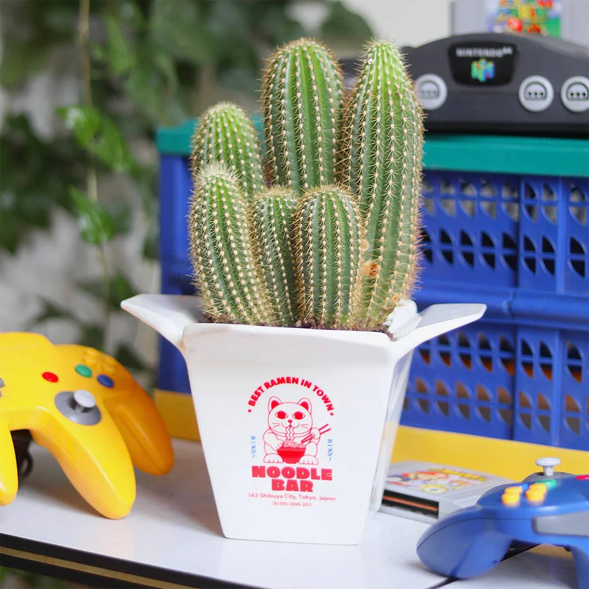 Vase Ramen - Image 3