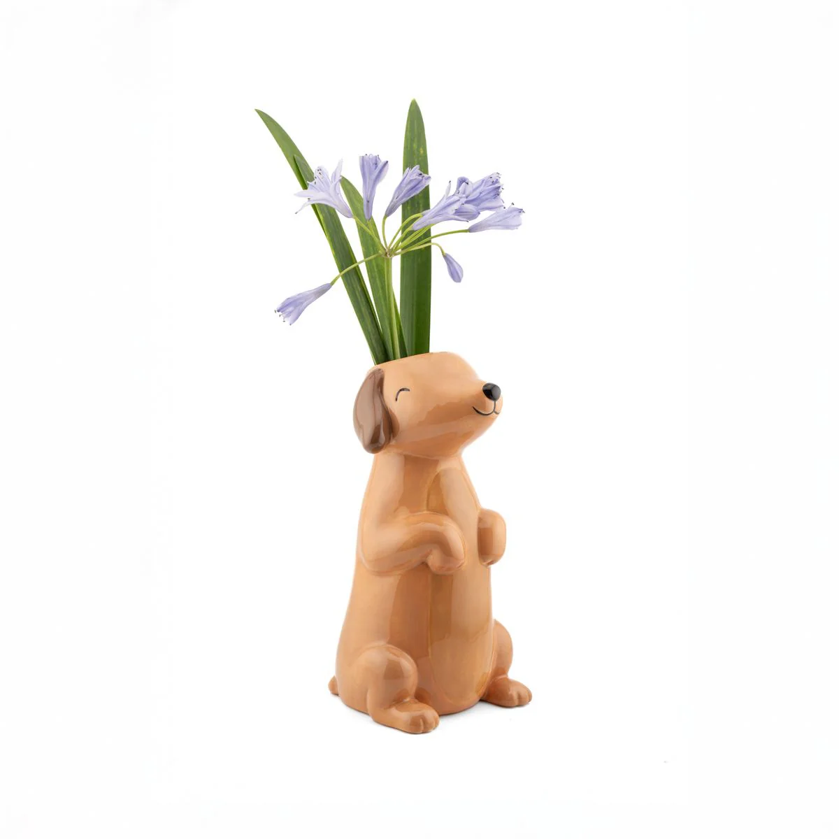 Vase Sausage dog