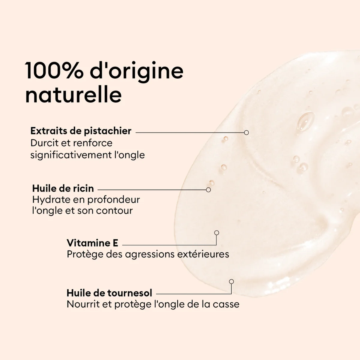 Soin des Ongles - Concentré Perfecteur - 10 ml - Image 6